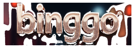 binggo logo
